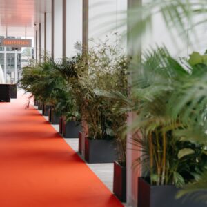 Carpeting